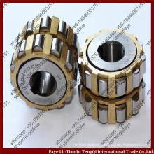 Cylindricail structure China 100752904 double row Overall Eccentric Roller Bearing special bearing for reducer